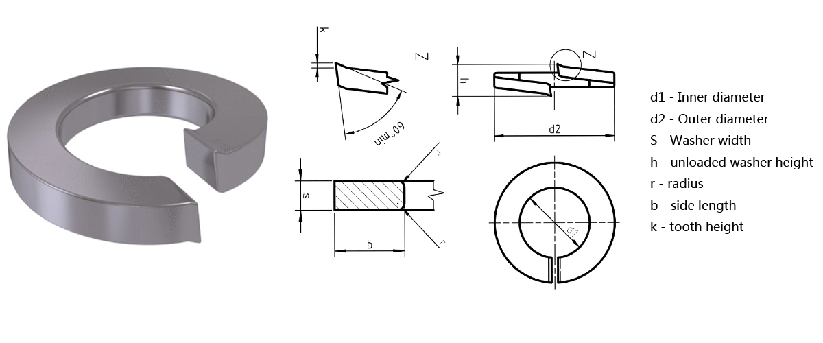 DIN127 Helical Spring Lock Washers Baoji Leader Titanium Industry Co